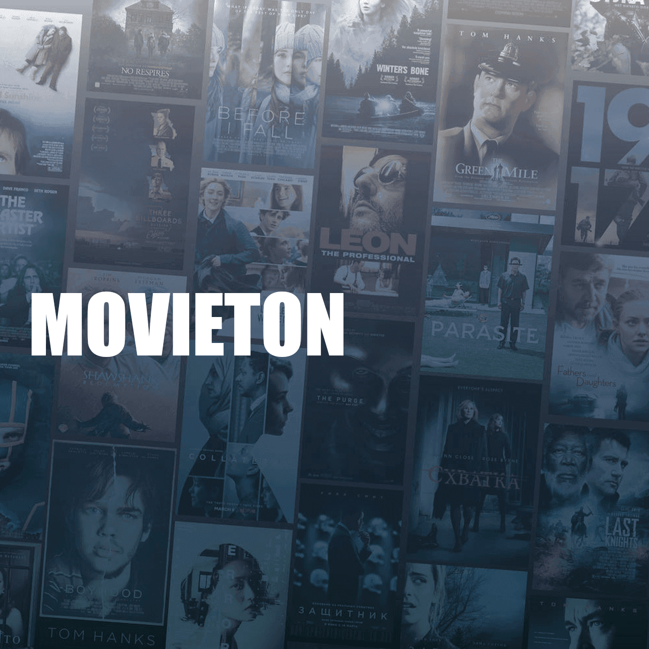 MovieTon-poster.png